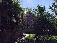 APARTMENTS Divic, Baska Voda