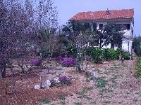 APARTMENTS Kastelan, Barbat