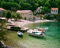Apartmani Zaninovi� VELA STINIVA