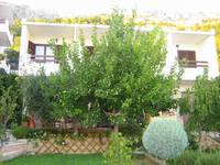 Apartmani Kuzmanic
